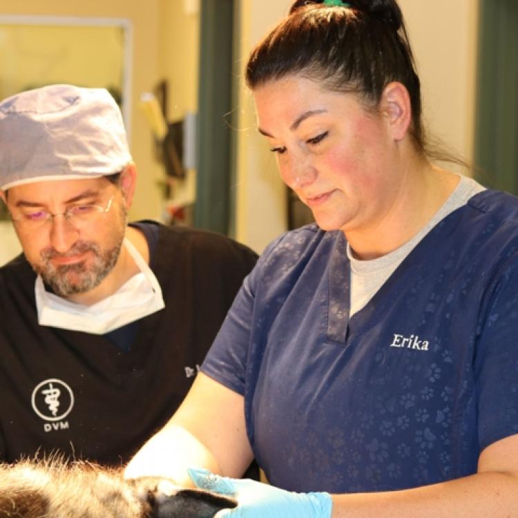 Franklin Lakes Animal Hospital Franklin Lakes, NJ